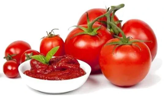 Polpa de tomate — Sorgatto Alimentos