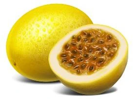 Maracujá com semente — Riofrut Food Service